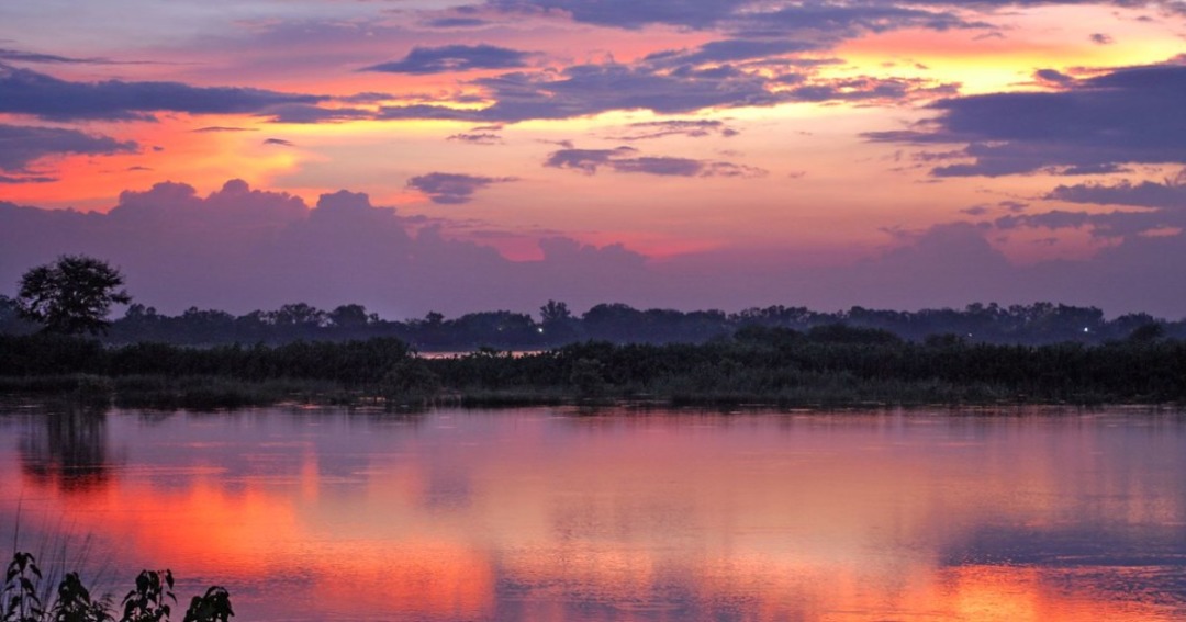 Sukhna Wetland